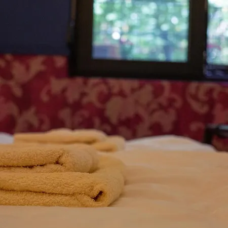 Appartamento Cosy In A Heart Of The *