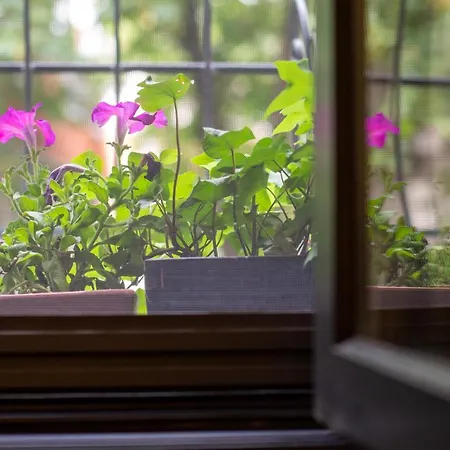 Cosy In A Heart Of The *