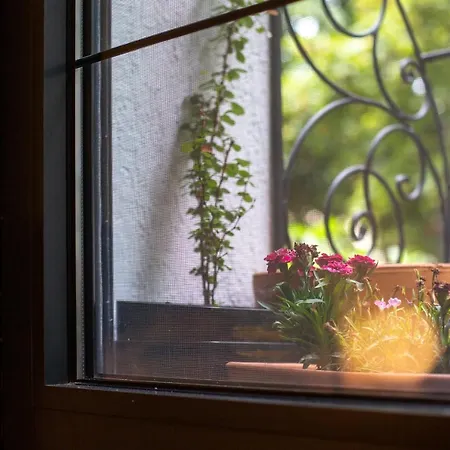 Cosy In A Heart Of The Belgrad